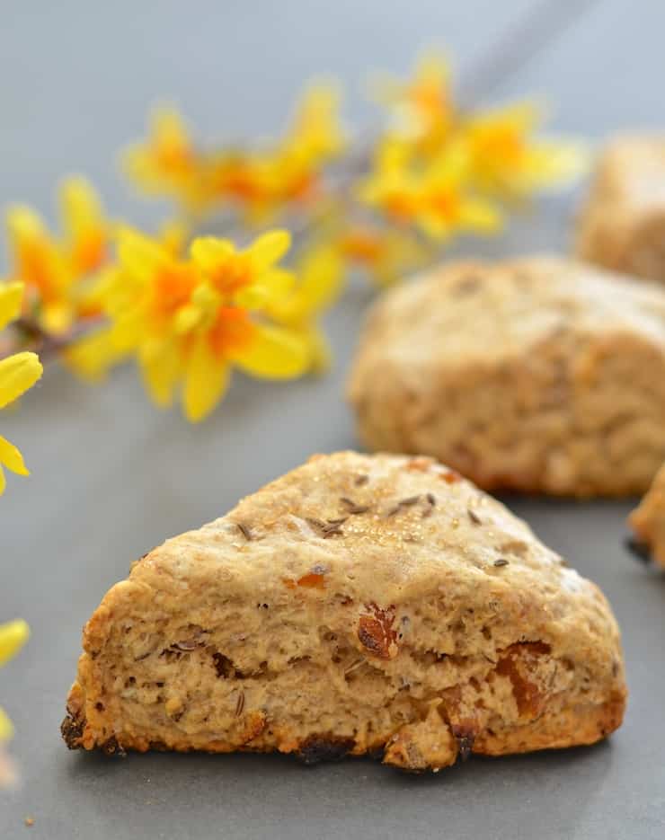 Apricot and caraway seeds might seem like a strange combination but I promise you they work beautifully together! With their crunchy exterior & dense, slightly crumbly but soft & tender interior, these Apricot Caraway Scones are utterly delicious!