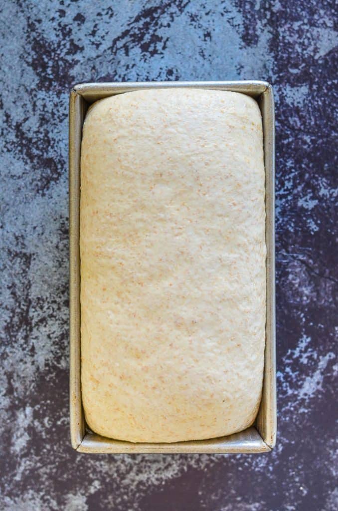 easy whole wheat bread dough after proofing and before baking