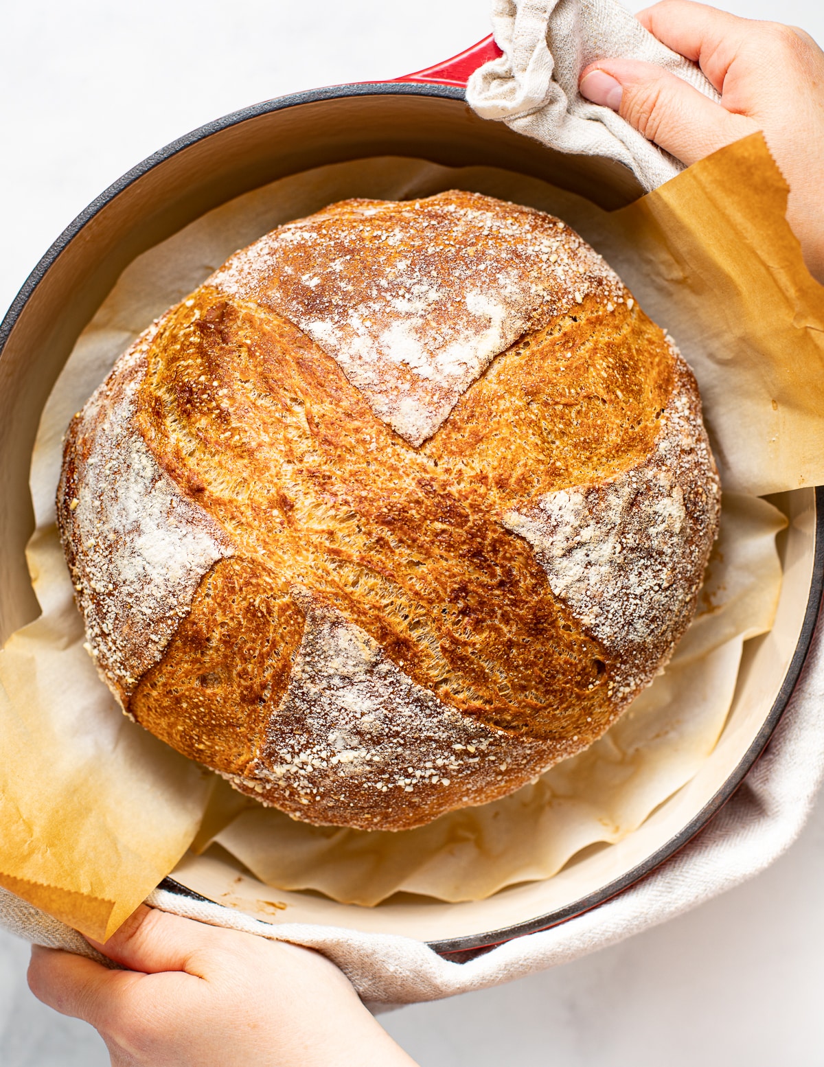 a loaf of crusty no knead sourdough bread in a red Dutch oven