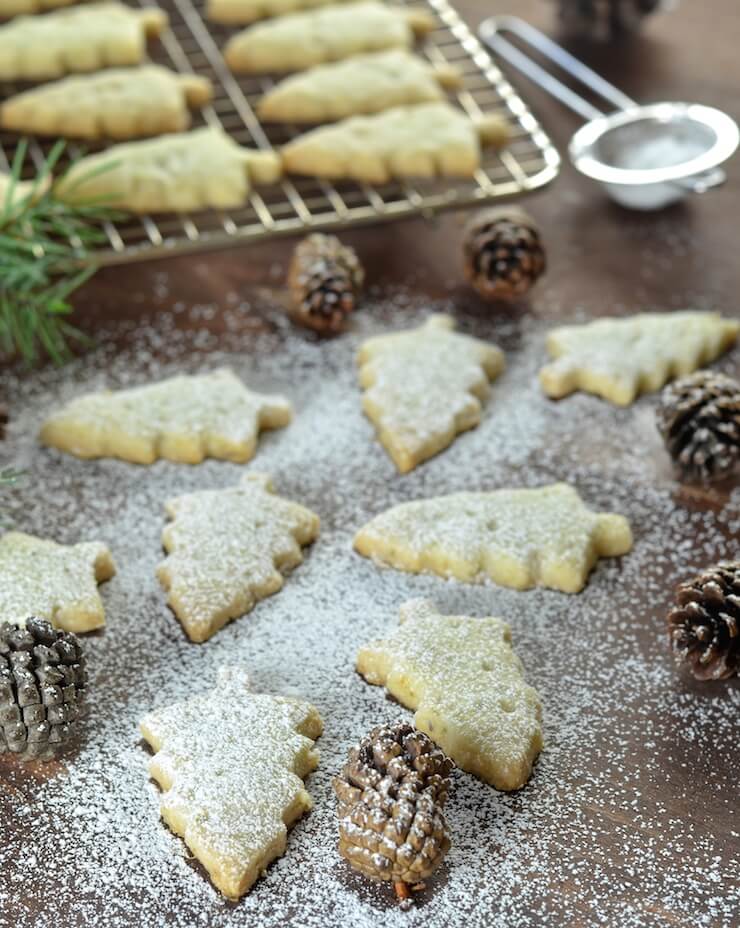 Melt in your mouth Pine Needle Shortbread Cookies. A twist on an old favourite with just a hint of piney, citrusy flavour. Delicate, delicious & sure to impress!