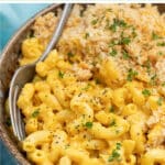 The ultimate Vegan Mac and Cheese! Cheesy, saucy macaroni topped with an irresistible buttery & golden crispy crumb topping, or omit the topping and making it on the stovetop. No dairy, no nuts & easily made gluten-free. Prepare to get saucy!