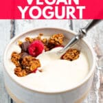 a bowl of vegan yogurt with granola and berries